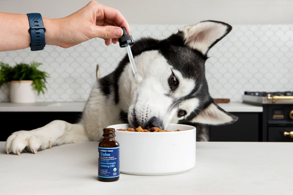 Honest Paws Omega-3 Oil for Dogs