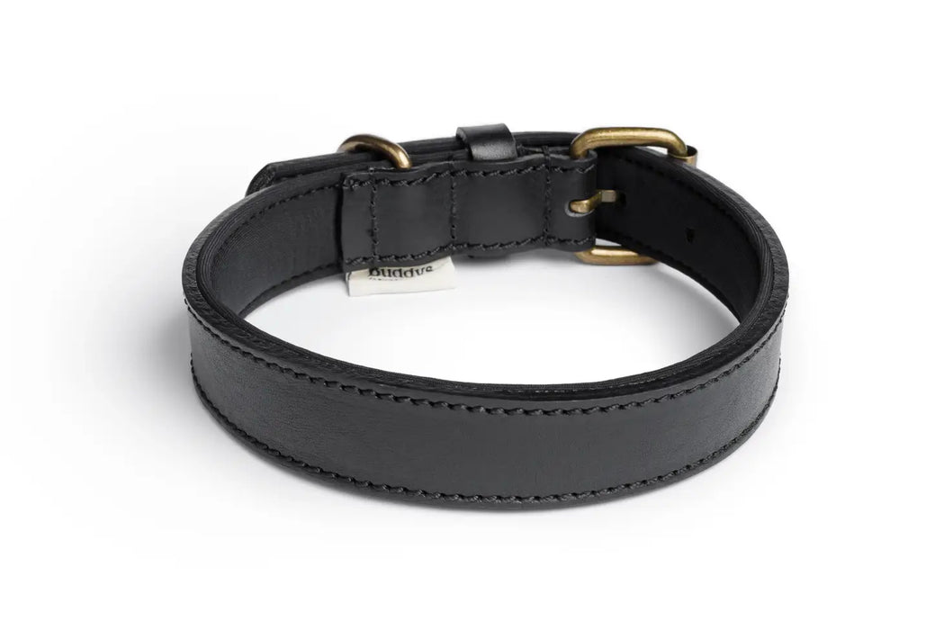 Neo Designer Leather Dog Collar
