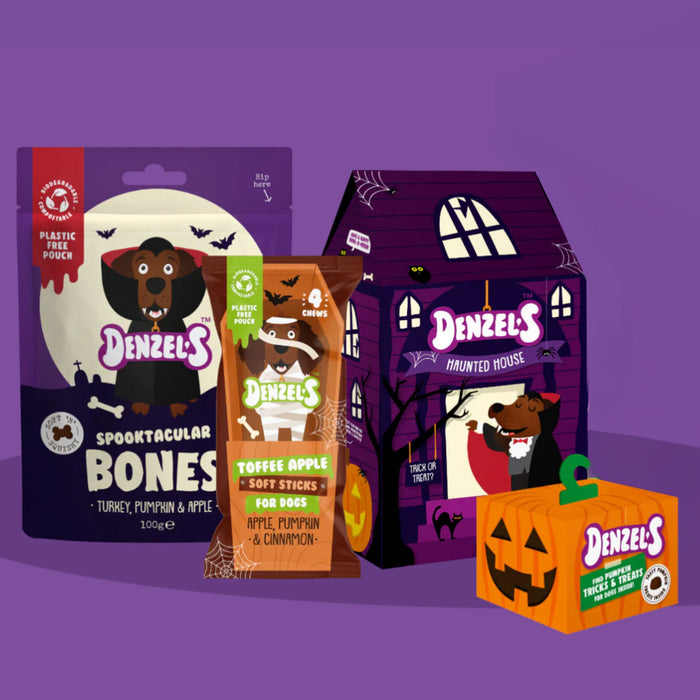 Spooktacular Denzels Halloween Treat Bundle