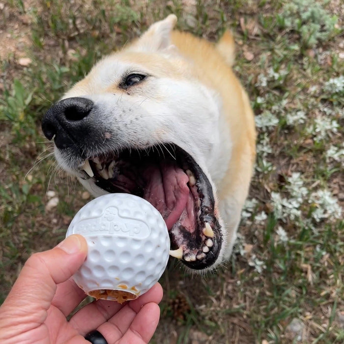 Golf Ball Treat Dispenser for Dogs