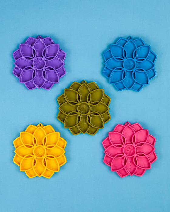 5 x Rainbow Mandala Enrichment Tray Selection for Dogs (Get 1 FREE)