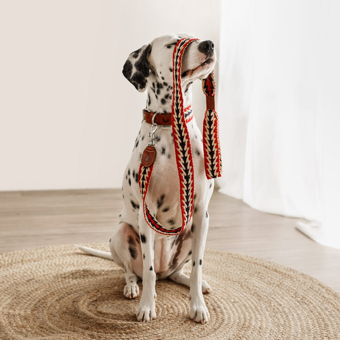 Peruvian Arrow Red Designer Dog Lead