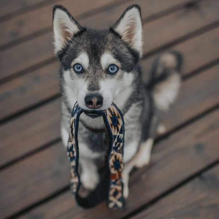 Peyote Blue Handcrafted Dog Lead