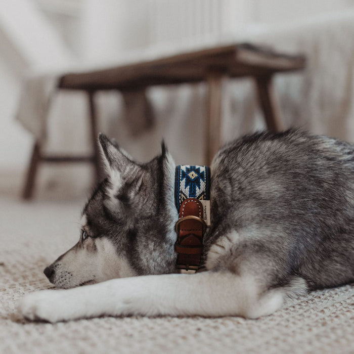 Peyote Blue Handcrafted Dog Collar