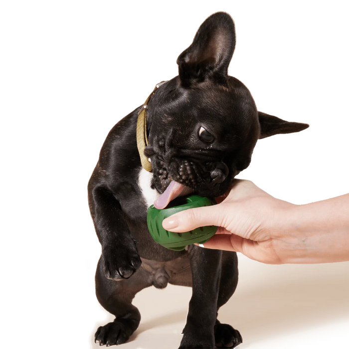 Pupsicle Toy Freezable Treat Tray for Dogs