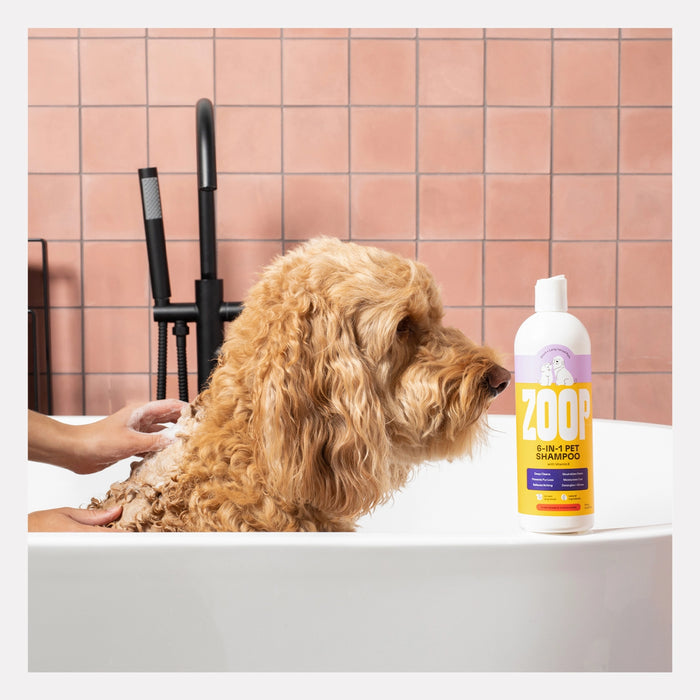 All-in-One Shampoo & Conditioner for Dogs with Gentle Natural Formula