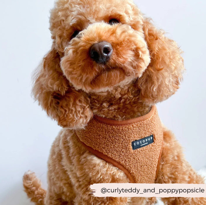 Fluffy Teddy Dog Harness - 2 Colours