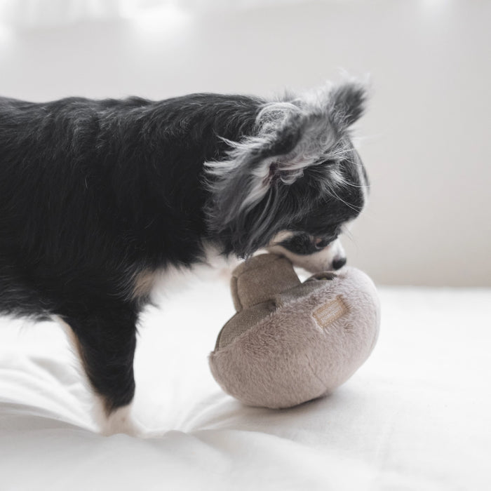 "GUU" Mushroom Enrichment Snuffle Soft Toy for Dogs