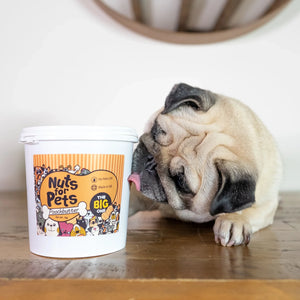 Brand of the Month: Nuts for Pets
