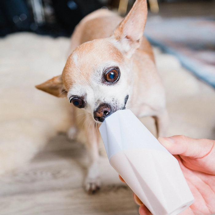 "The Ubbe" Enrichment Treat Dispenser Dog Toy