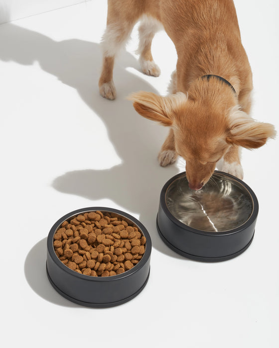 Non-Slip Silicone Based Stainless Steel Pet Bowl - 2 Sizes / 3 Colours
