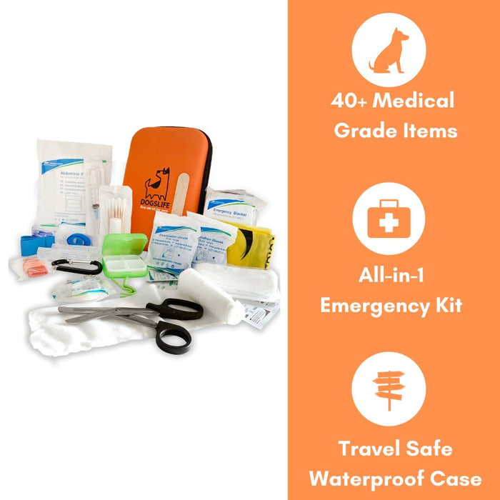 An overview of the products in the dog first aid kit is portrayed