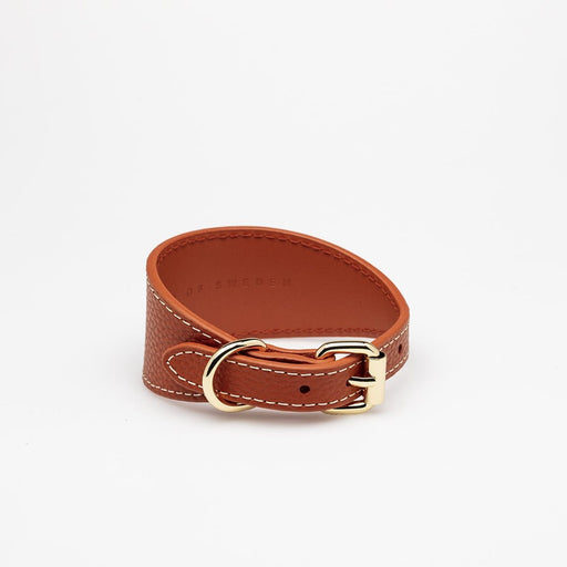 A wide Collar of Sweden dog collar pictured in a Cognac Colour