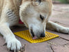 Close up of a Dog licking the Yellow Honeycomb patterned licking mat by Sodapup