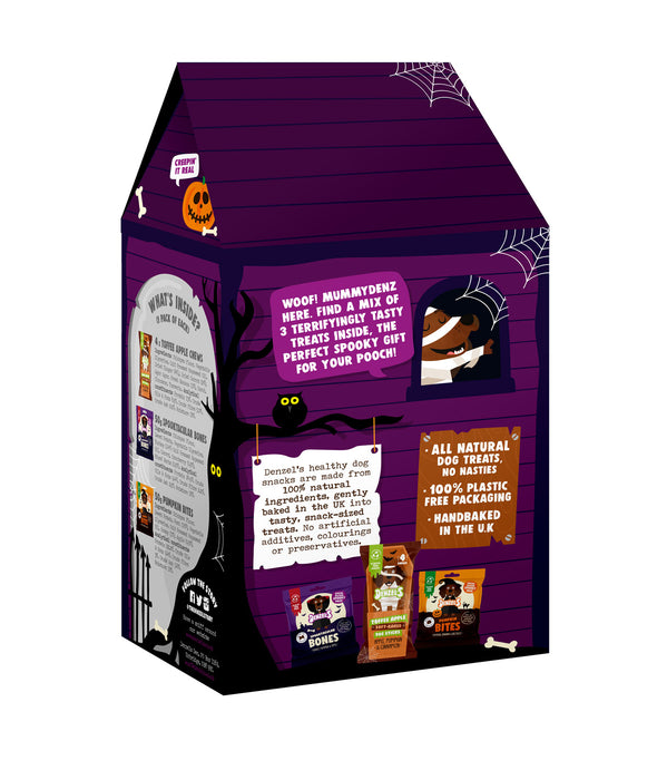 Denzel's Halloween Haunted House Gift Box for Dogs (175G)