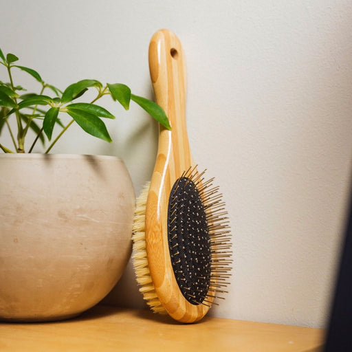 Image showing a bamboo double-sided dog brush with a fine bristle and a normal brushhead.