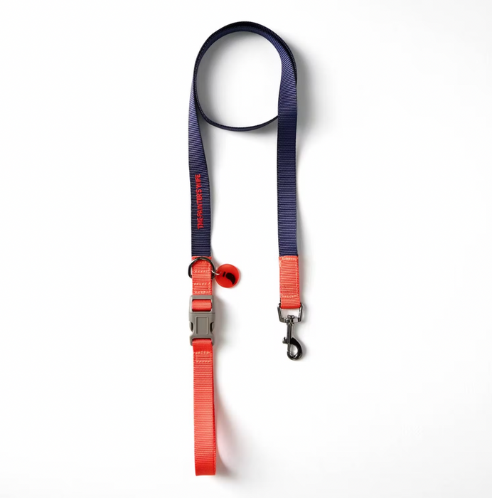 Colourful Sonia Dog Lead: Vermillion and Navy