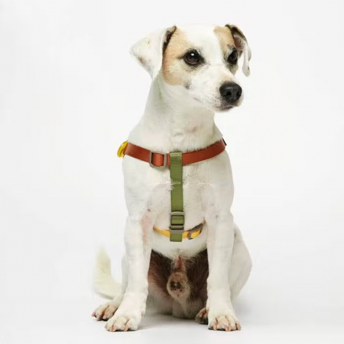 Colourful Sonia Dog Harness: Mimosa and Moss Multicolour