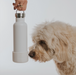 Dog sniffing the "Dog & Me" Reusable Insulated Bottle on a white background. The bottle features a silicone cup that can be used as a dog water bowl and has a brushed chrome top with handle.