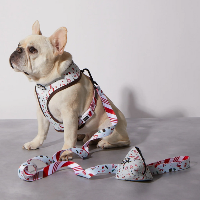 Confetti Poo Bag Holder for Dogs