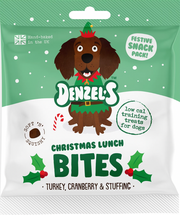 Denzel's Christmas Grotto Gift Box for Dogs (175g)