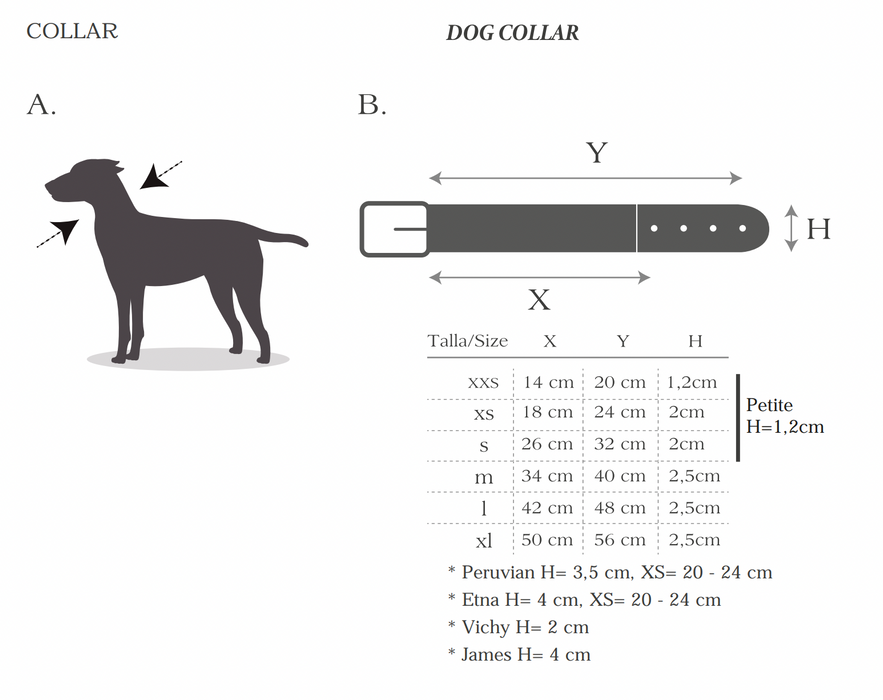 Neo Designer Leather Dog Collar