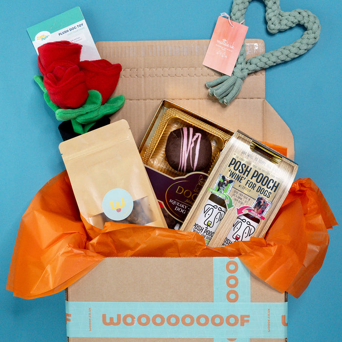 The "PAW-fect Match", Gift Bundle for Dogs