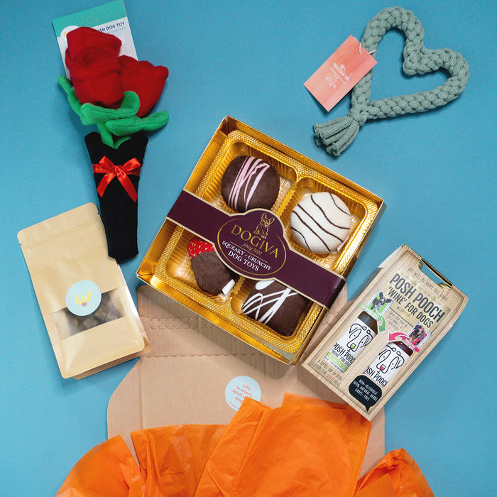 The "PAW-fect Match", Gift Bundle for Dogs