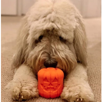 Pumpkin Chew Toy Treat Dispenser for Dogs