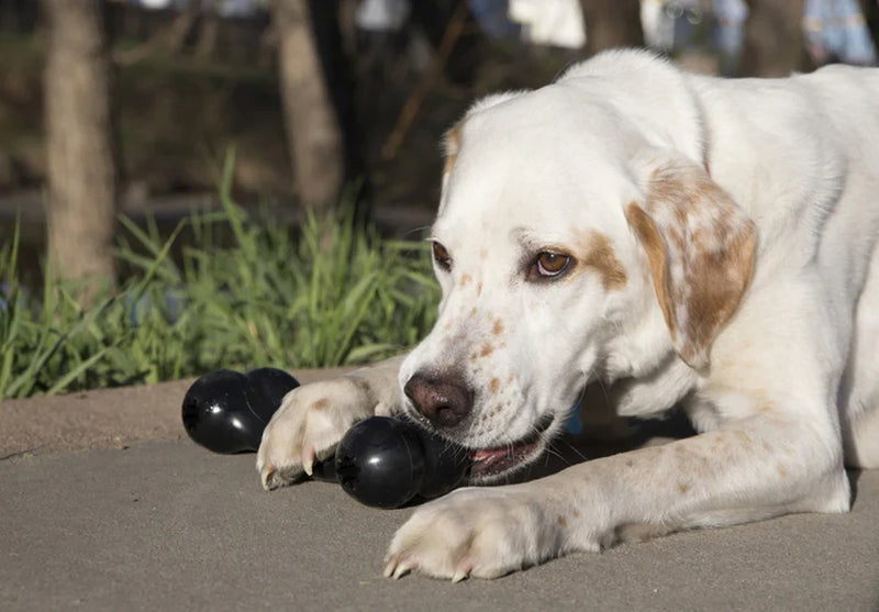 dog chew toys