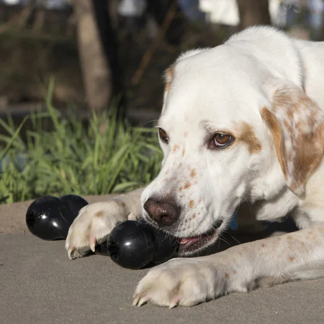 dog chew toys