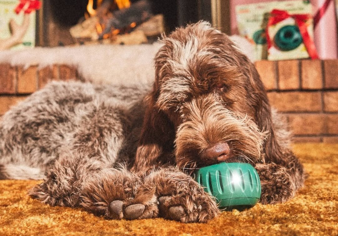woof pupsicle toy