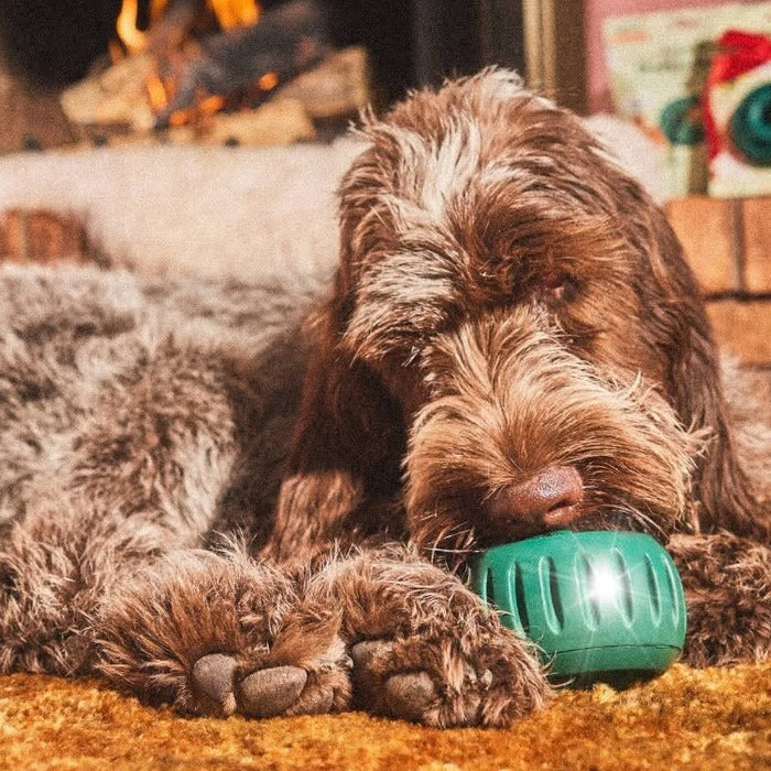 woof pupsicle toy