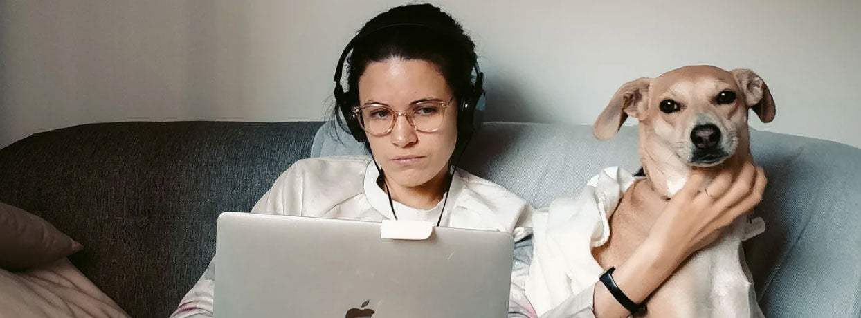 A woman working from home with her dog on the sofa