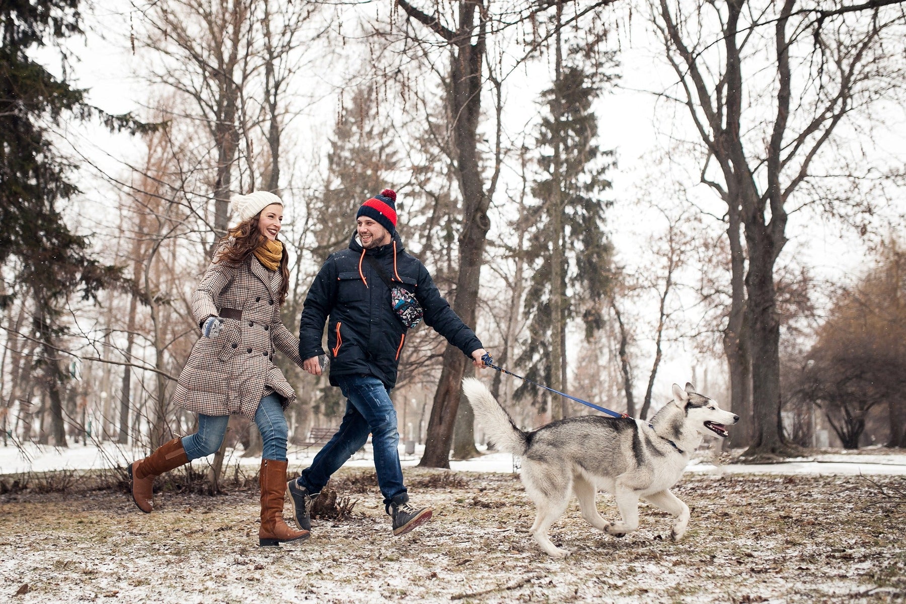 couple walking dog in the snow