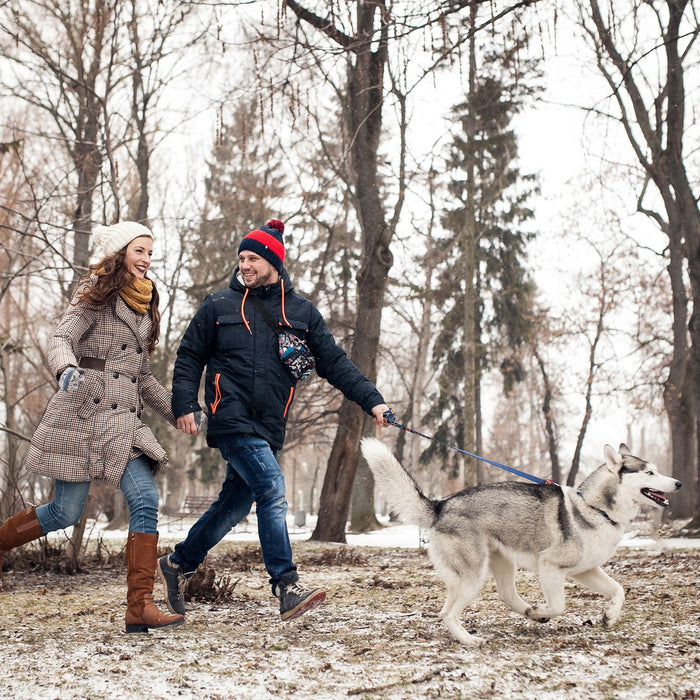 couple walking dog in the snow