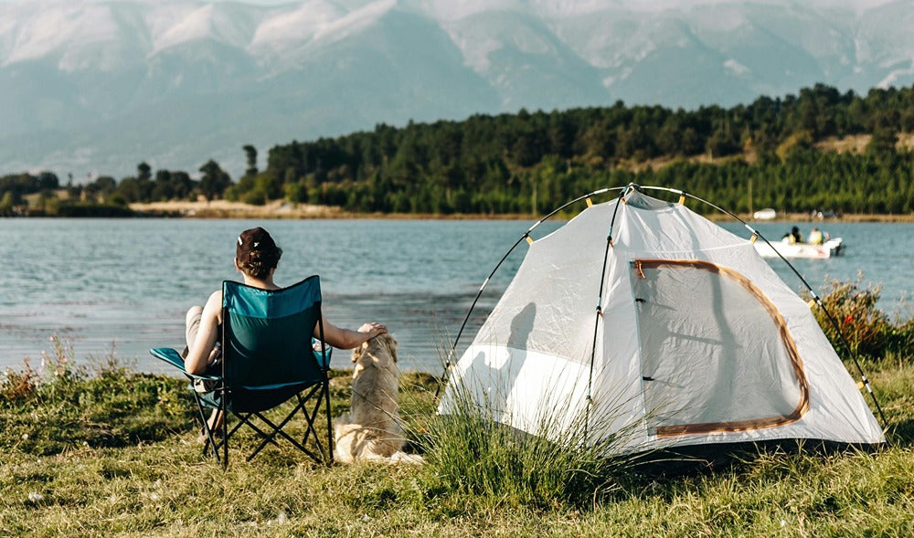 dog-friendly campsites