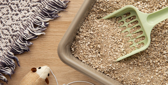 cat litter tray and scoop