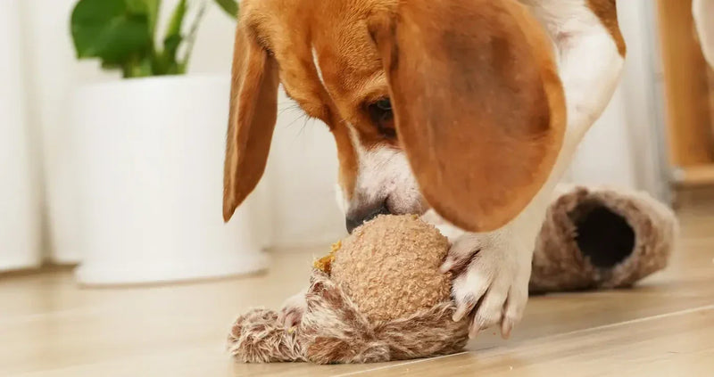 dog snuffle toys
