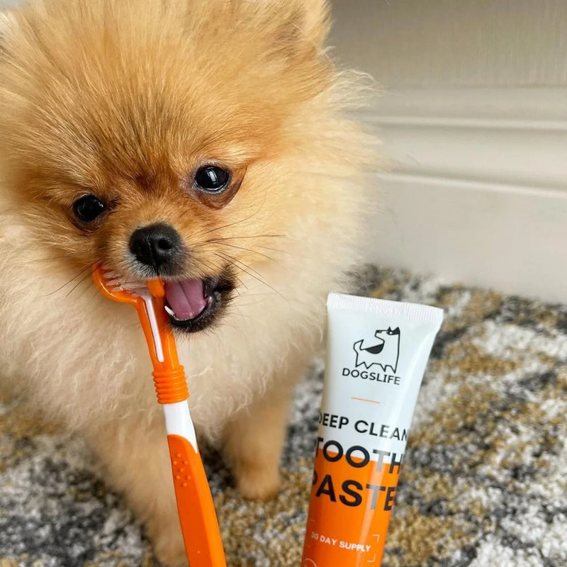 dog breath