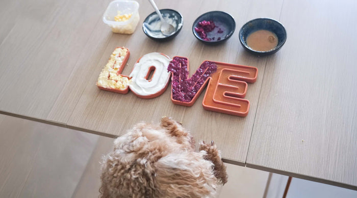 Dog perched against a table looking at lick mat reading love with small bowls filled with food