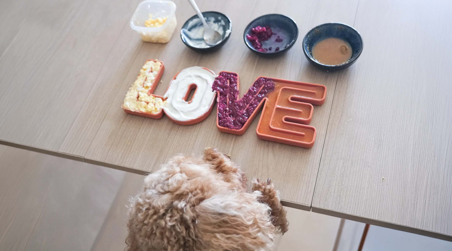 Dog perched against a table looking at lick mat reading love with small bowls filled with food