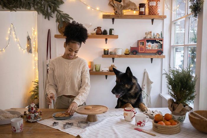 christmas recipes for dogs