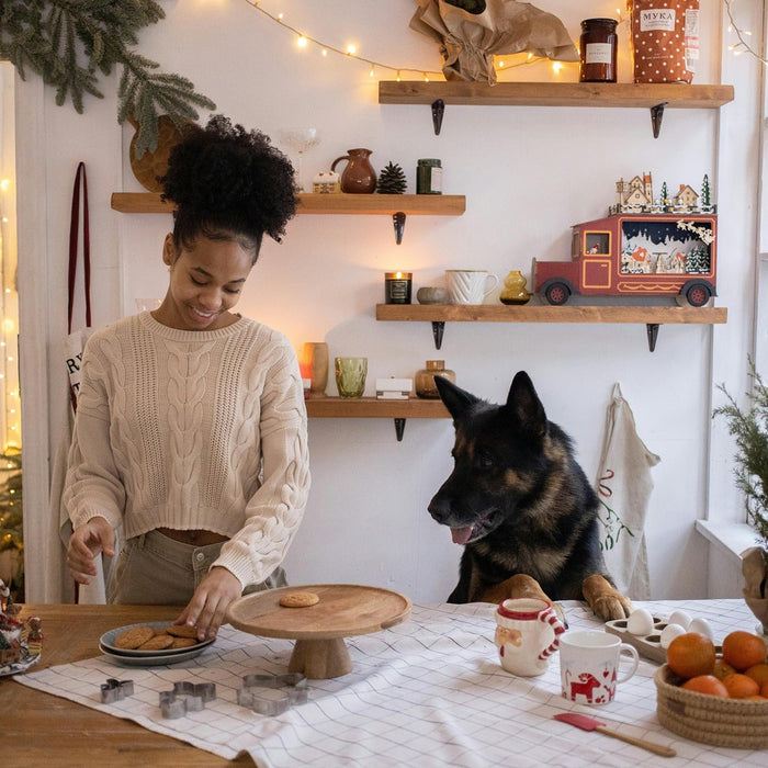 christmas recipes for dogs