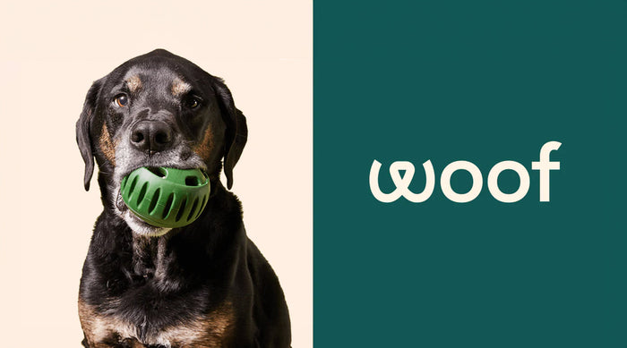 a dog with woof pupsicle toy in it's mouth with the text woof