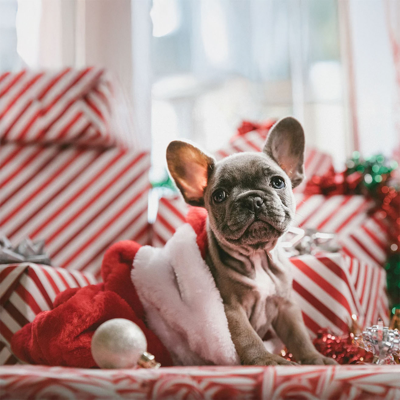 Black Friday Shop 20% Off