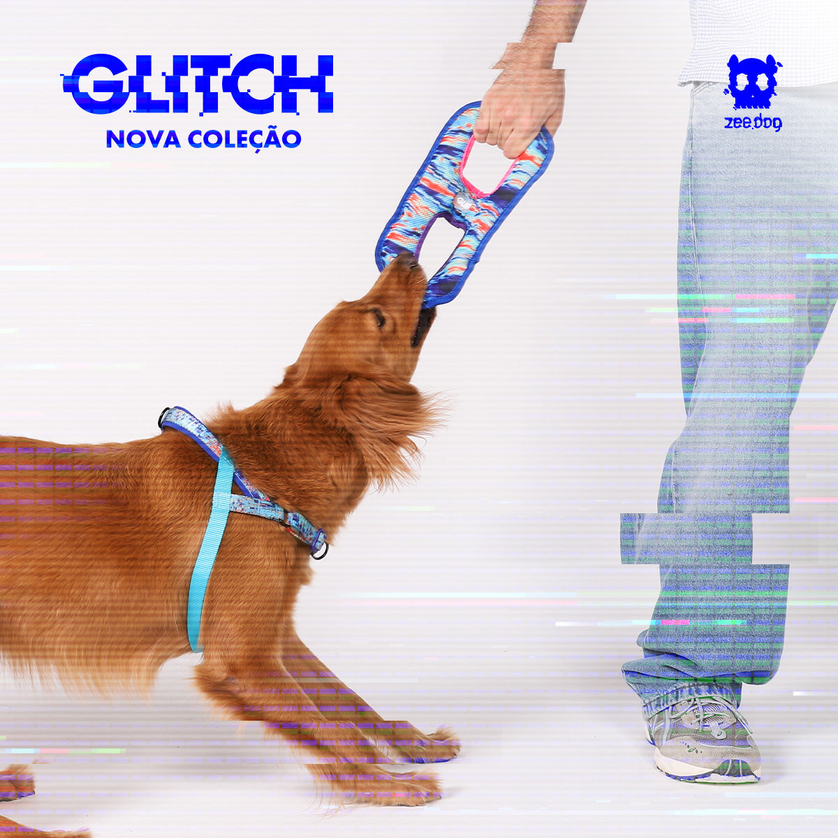 Zee.Dog Glitch