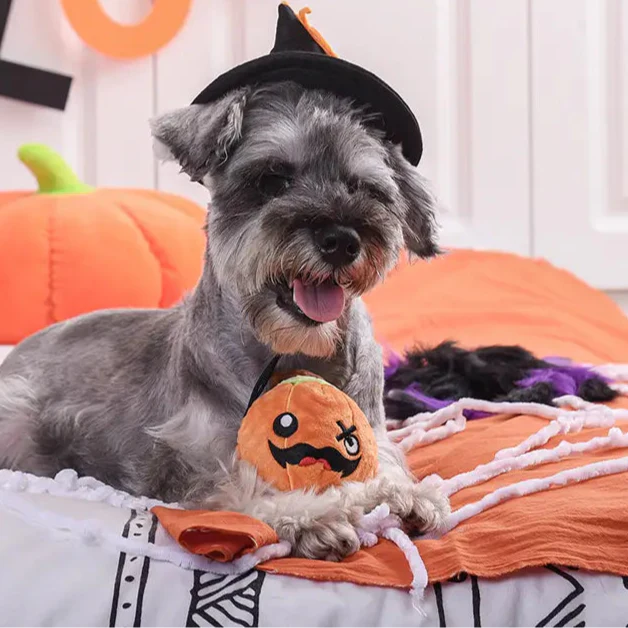 Halloween Highlights