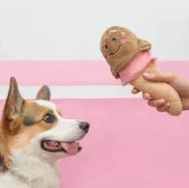 Dog Summer Accessories