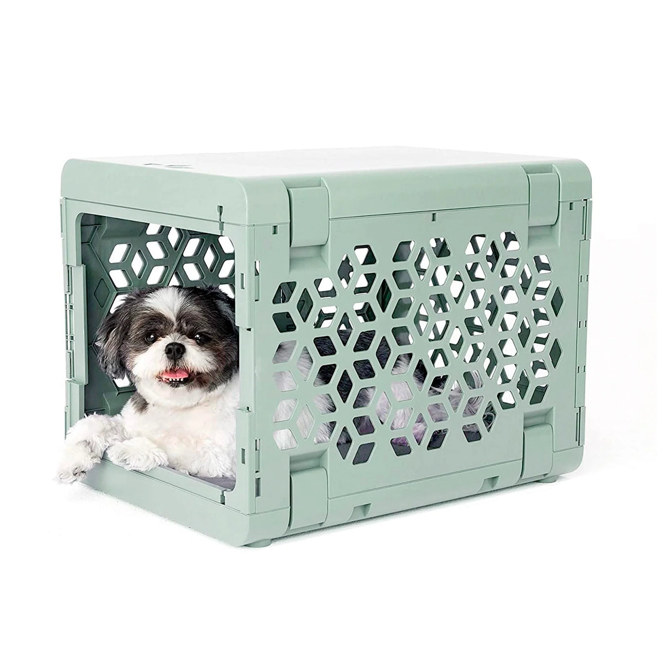 Dog in a KindTail crate